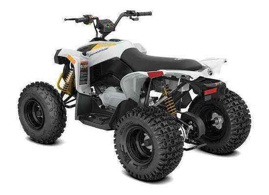 2026 Can-Am Renegade 110 EFI — photo 2