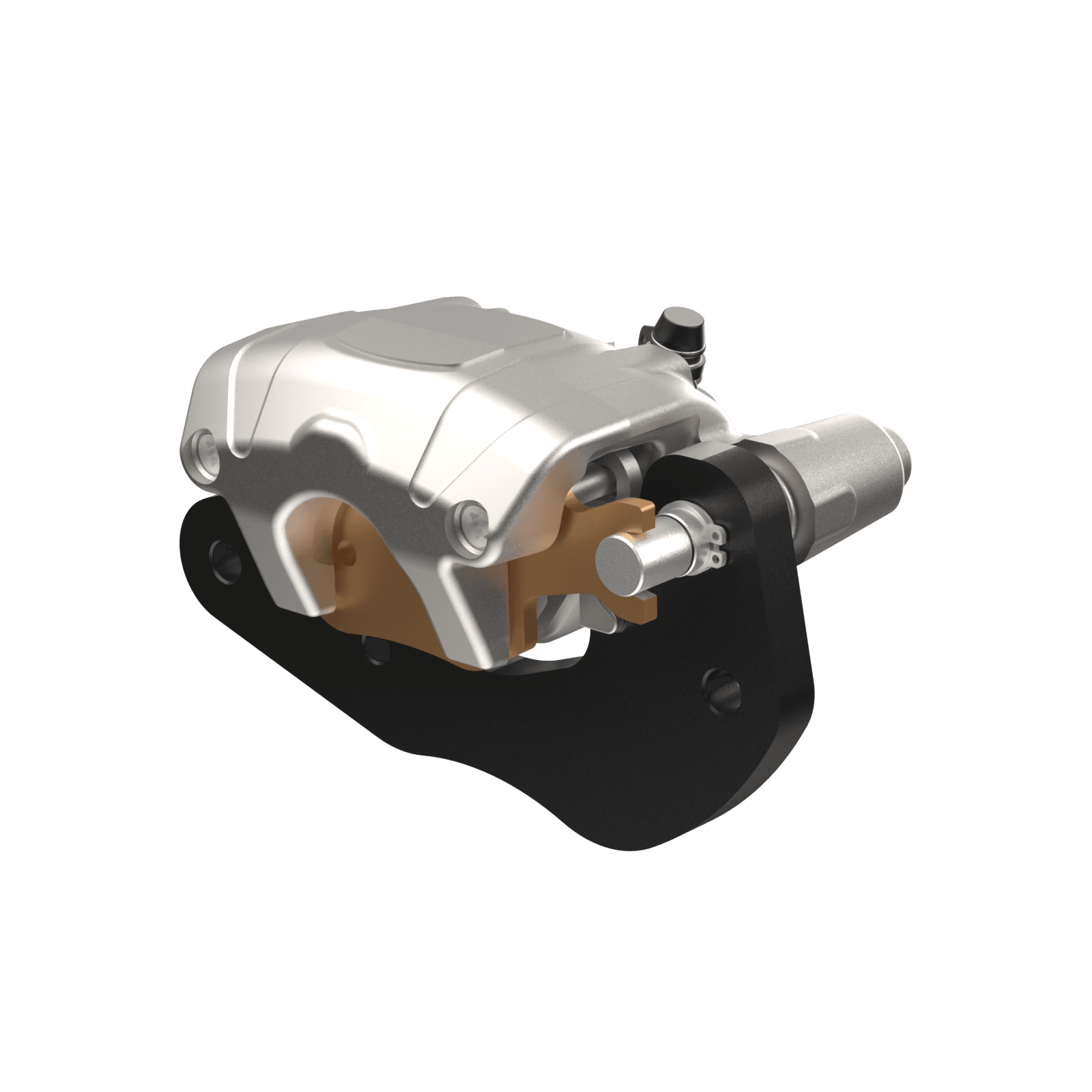 Rear Brake Caliper - Right Side