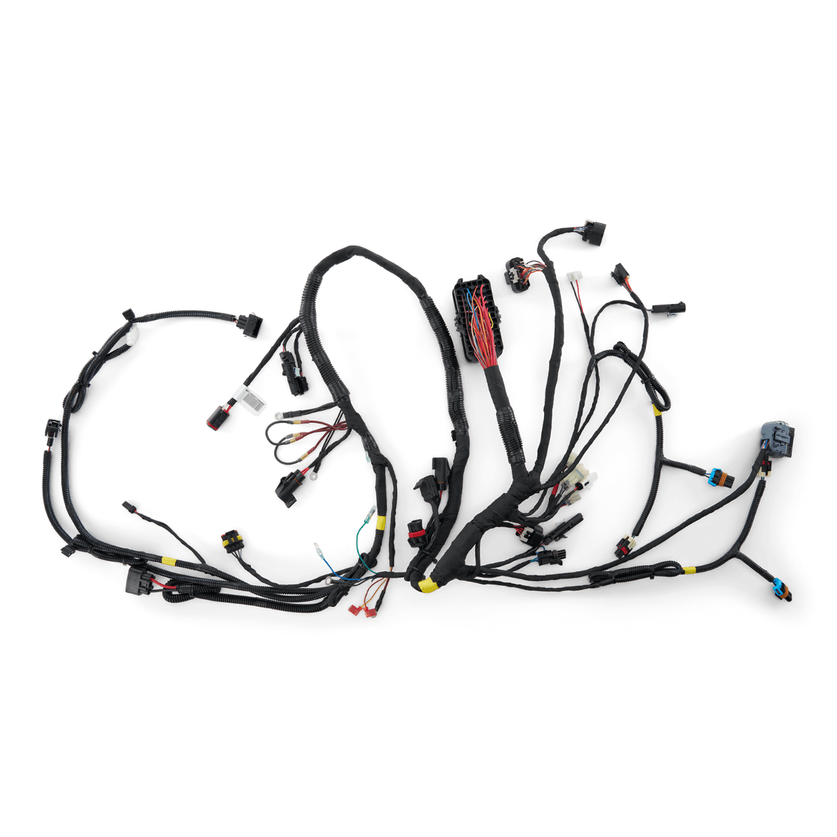 Main Harness