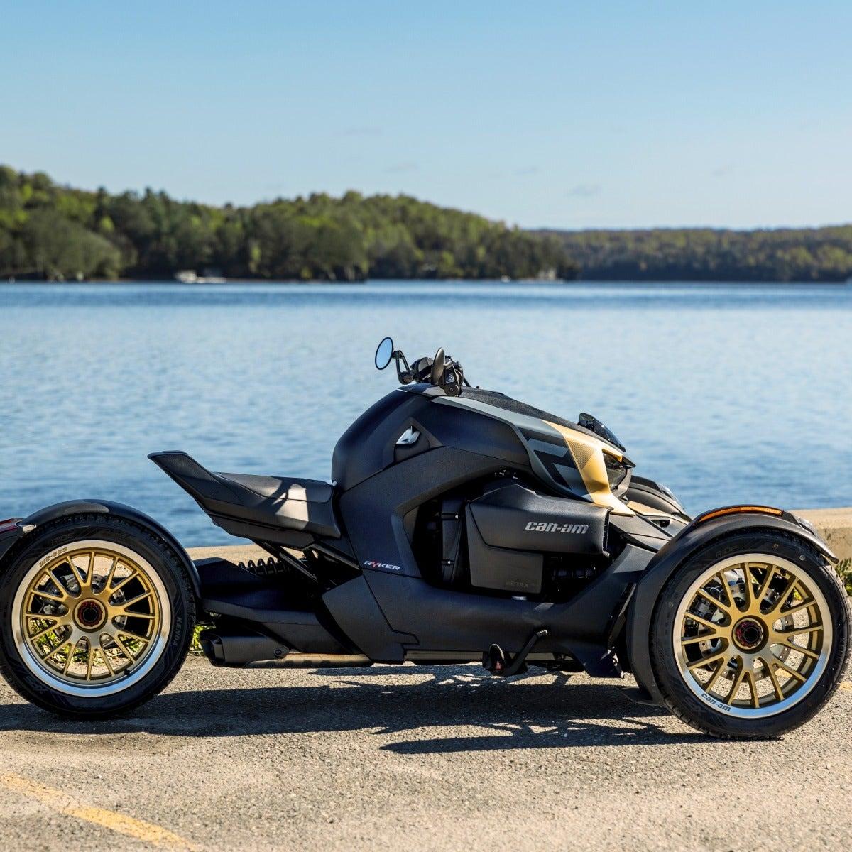 Ensemble de panneaux exclusif Or Atlantis Can-Am Ryker — photo 3