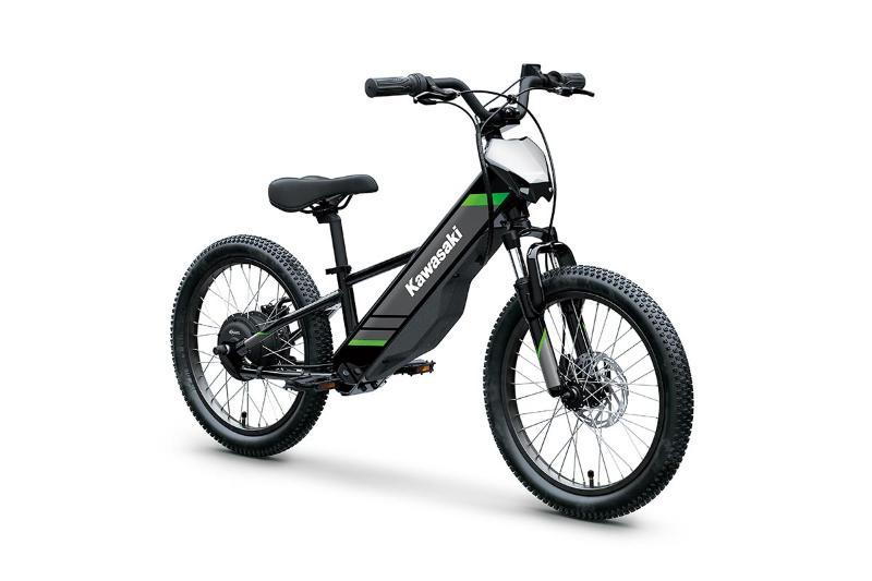 2025 Kawasaki ELEKTRODE 20 — photo 2