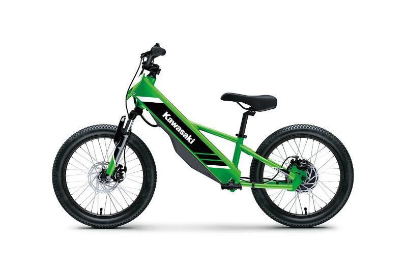 2025 Kawasaki ELEKTRODE 20 — photo 3
