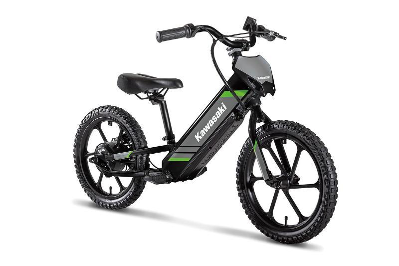 2025 Kawasaki ELEKTRODE 16 — photo 2