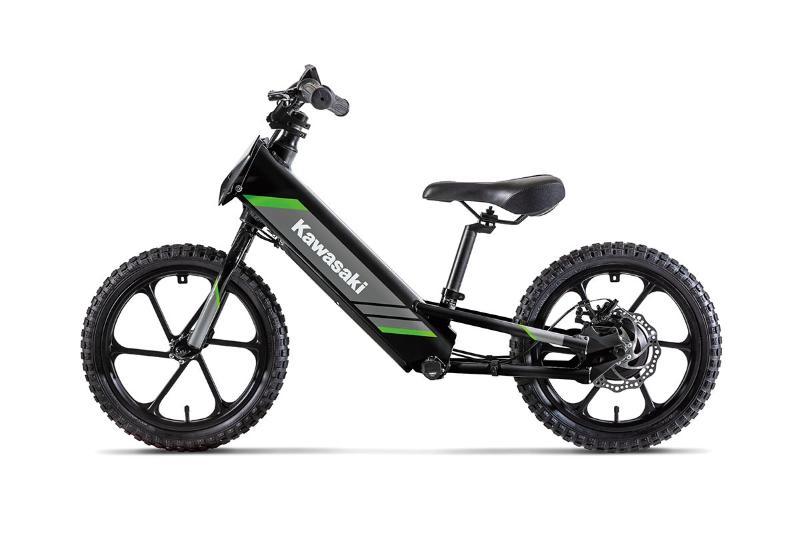 2025 Kawasaki ELEKTRODE 16 — photo 3