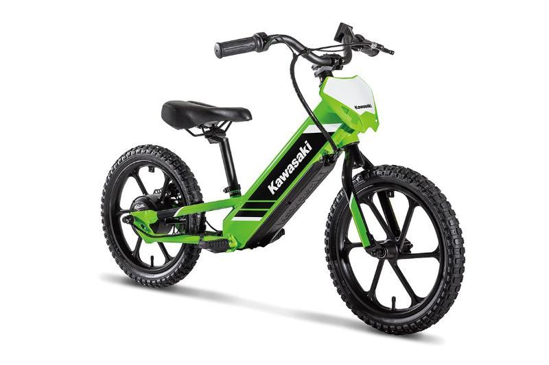 2025 Kawasaki ELEKTRODE 16 — photo 3