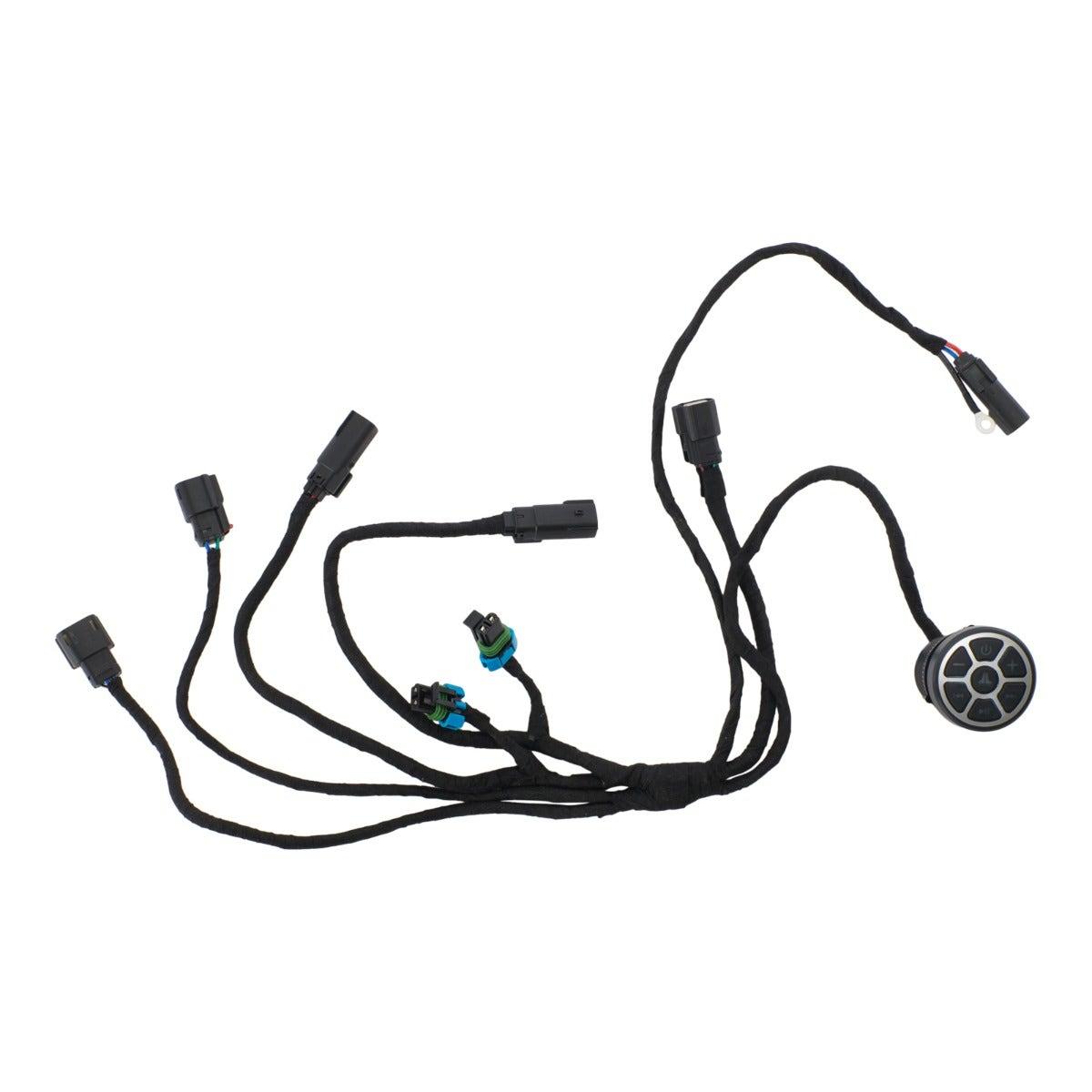 Sea-Doo Adaptateur de harnais JL Audio — photo 2