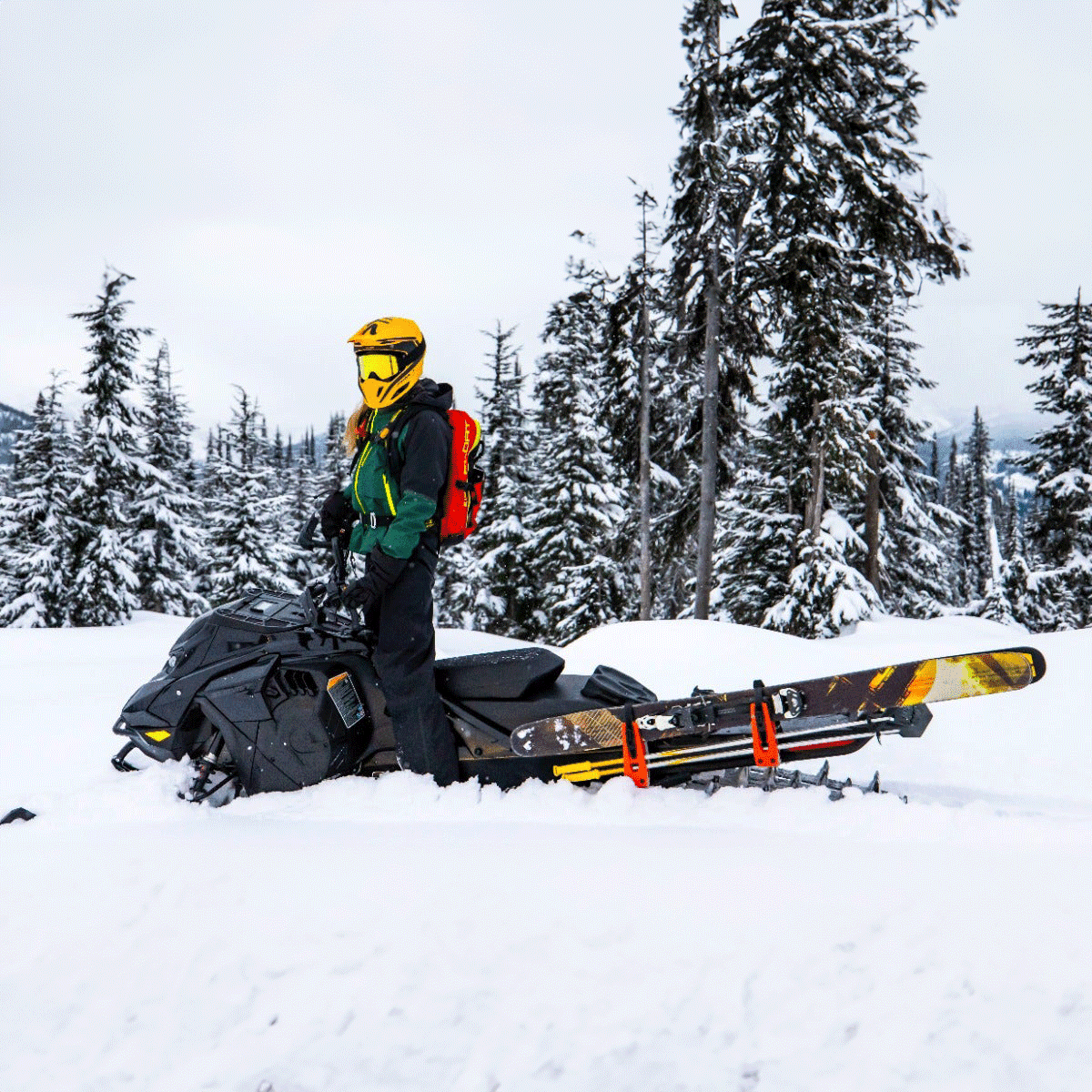 Ski-Doo LinQ Snowboard/Ski Rack — photo 6