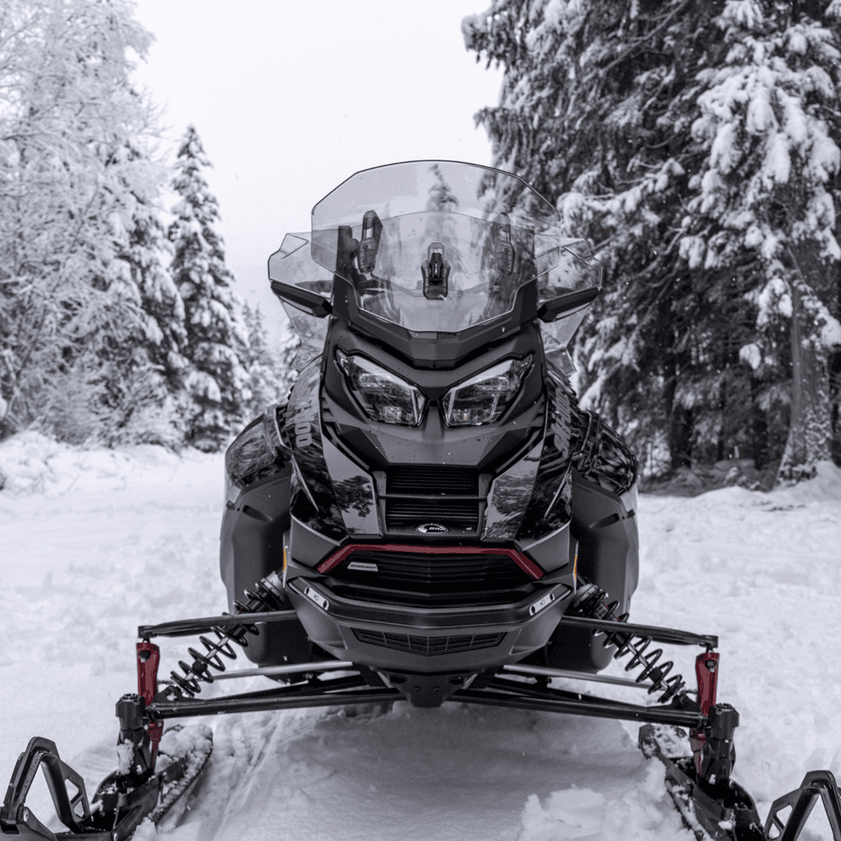 Pare-brise réglable moyen à haut Ski-Doo avec support — photo 4