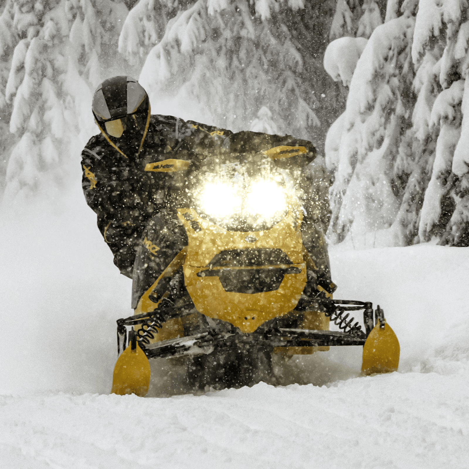 Ski-Doo Suspension avant RAS RX — photo 4