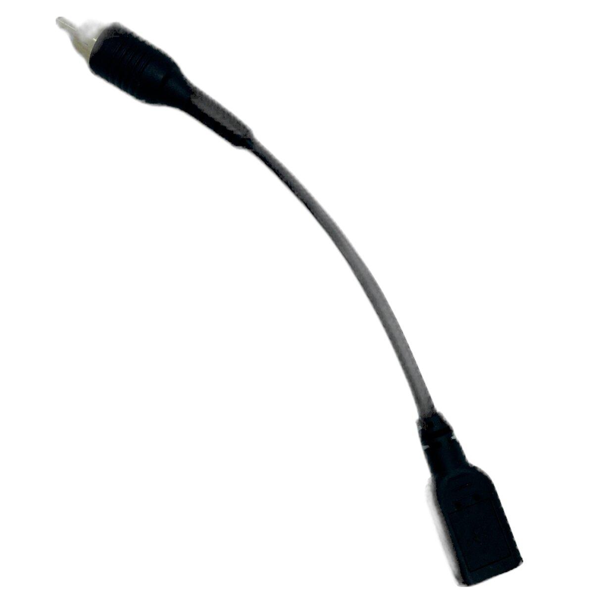 12 V Male RCA to 5 V USB-A Adapter