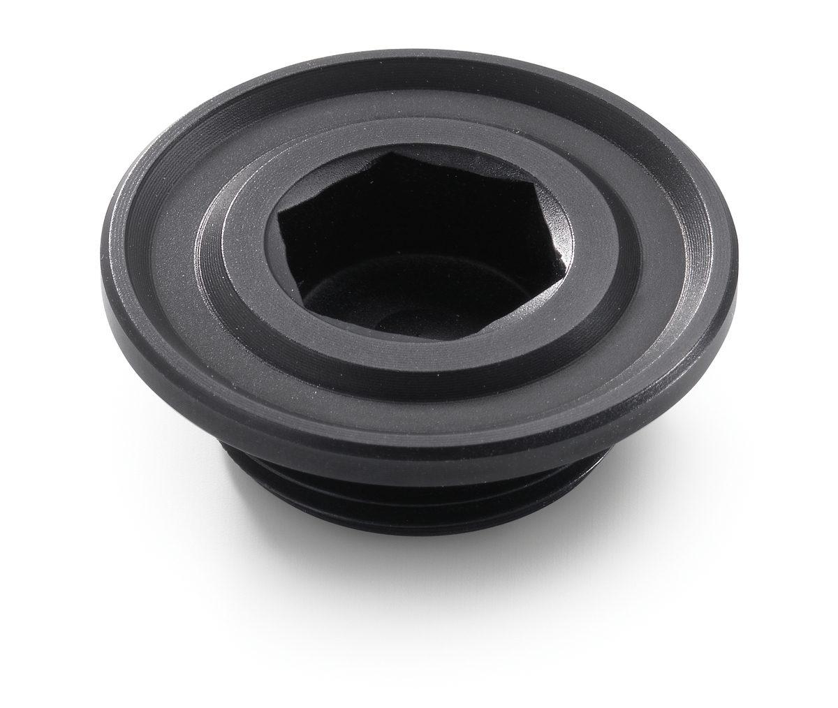 Ignition cover plug