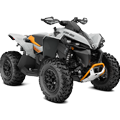 Renegade