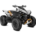 Renegade
